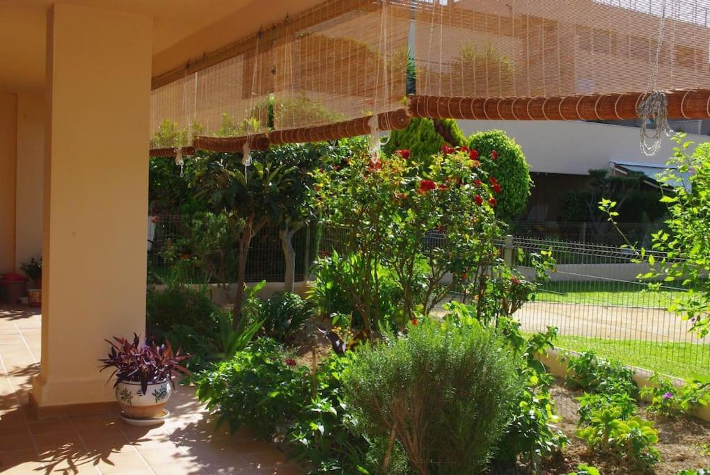 Golf Y Playa En San Juan Villa Alicante Exteriör bild